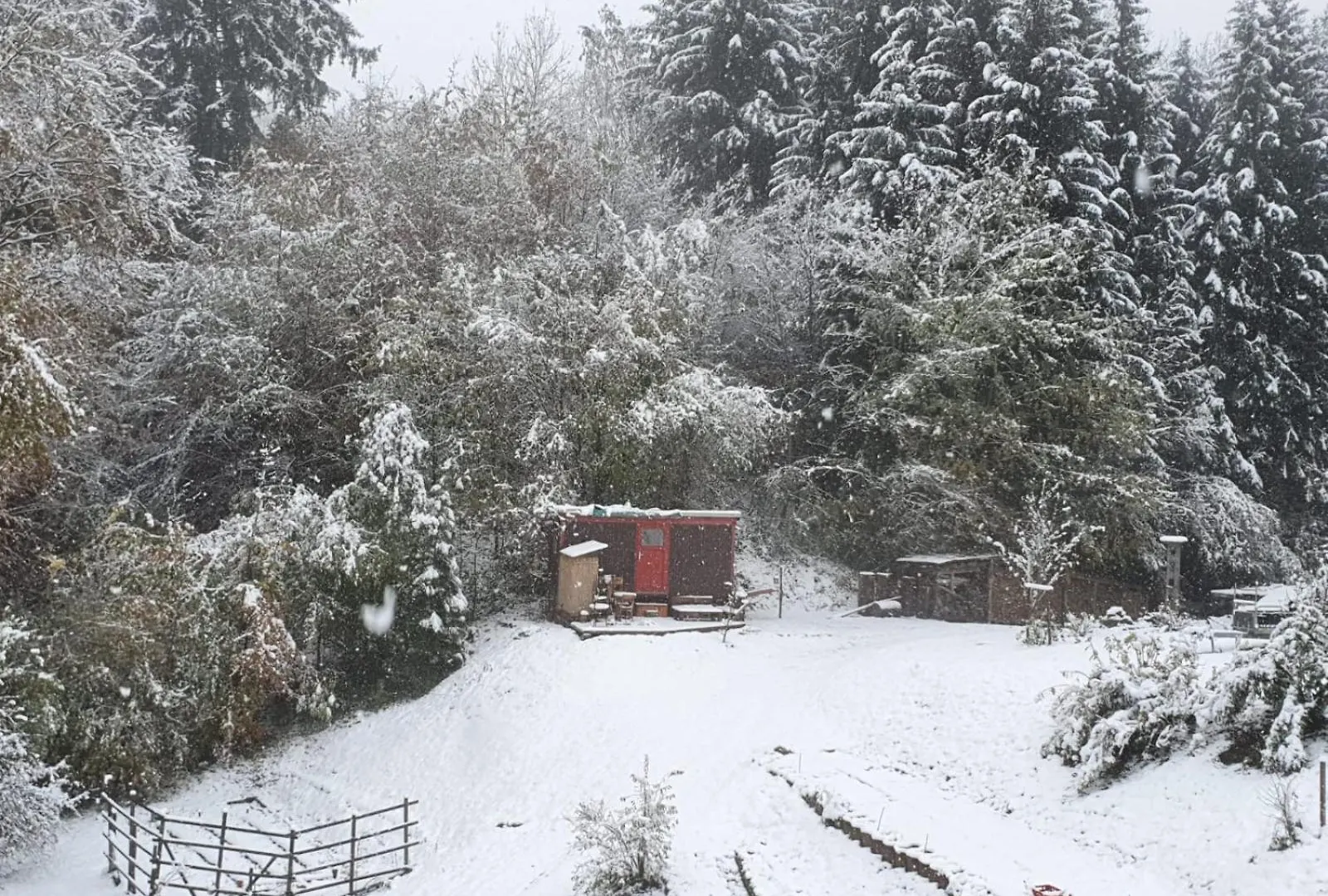 Kemping Gemuedlicher Bauwagen Rueckzugsort In Der Natur Bad Reichenhall